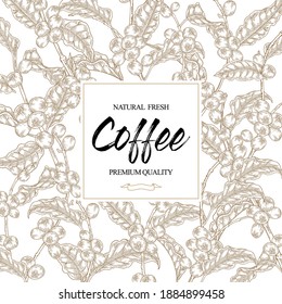 Coffee background. Hand drawn coffe tree branches with leaves and coffee beans. Vector illustration. Sketch style.