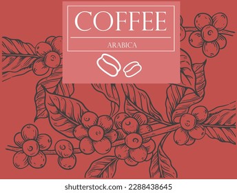 coffee background of ink drawing and red background for label packaging, banner, poster, advertising. coffee poster, coffee label packaging vintage