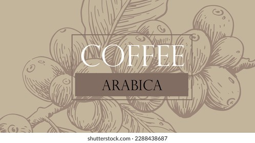 coffee background of ink drawing and red background for label packaging, banner, poster, advertising. coffee poster, coffee label packaging vintage