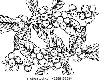 coffee background of ink drawing and red background for label packaging, banner, poster, advertising. coffee poster, coffee label packaging vintage