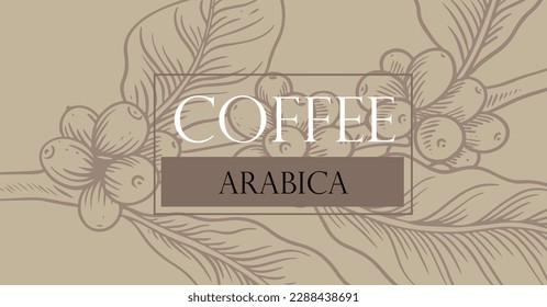 coffee background of ink drawing and red background for label packaging, banner, poster, advertising. coffee poster, coffee label packaging vintage
