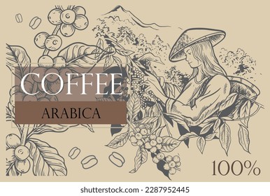 coffee background of ink drawing sketch for label coffee sticker packaging. coffee label sticker for packaging. coffee poster vintage promotion