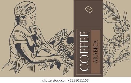 coffee background of ink drawing sketch for label packaging. coffee label sticker for packaging. coffee poster and banner