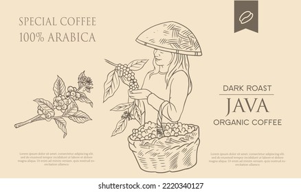 coffee banner promotion of drawing vector with vintage concept. coffee label packaging for product. vintage coffee shop poster