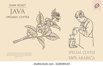 coffee banner promotion of drawing vector with vintage concept. coffee label packaging for product. vintage coffee shop poster