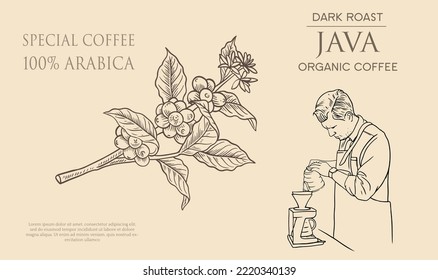 coffee banner promotion of drawing vector with vintage concept. coffee label packaging for product. vintage coffee shop poster