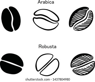 Coffee bean design comparison between Arabica and Robusta