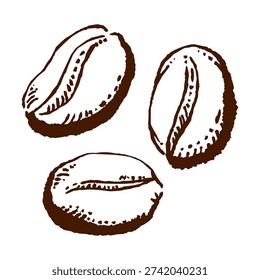 Coffee Bean Doodle Sketch Hand Drawn Illustration