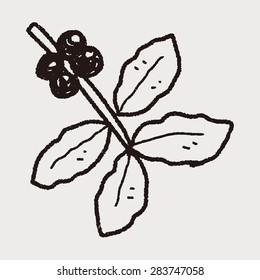 coffee bean fruit doodle