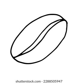 coffee bean hand drawn in doodle style. Suitable for icon, sticker, packaging decor. 