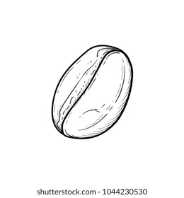 Coffee bean hand drawn outline doodle icon. Vector sketch illustration of roasted coffee bean for print, web, mobile and infographics isolated on white background.