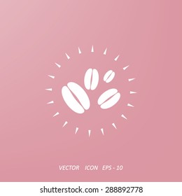 coffee bean  icon 