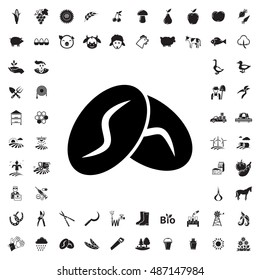 Coffee bean icon illustration isolated vector sign symbol