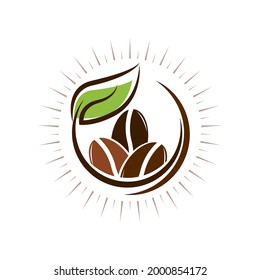coffee bean icon vector illustration template