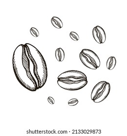 Coffee bean icon vector illustration template.
