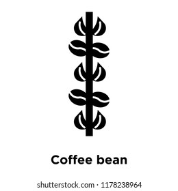 Coffee bean icon vector isolated on white background, logo concept of Coffee bean sign on transparent background, filled black symbol
