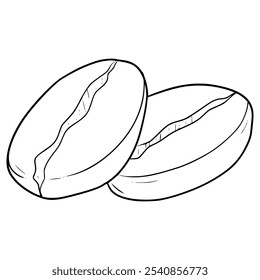 coffee bean illsutration hand drawn outline vector