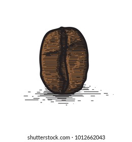 Coffee bean illustration suitable for the vintage logo design. Hand drawn vector.