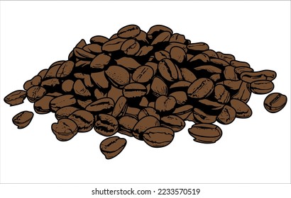 coffee bean illustration coffee bean vector engraving design