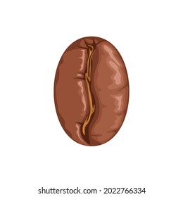 Coffee bean isolated on white background. Vector illustration, icon in cartoon flat style.
