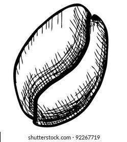Coffee bean isolated on white background sketch vector illustration