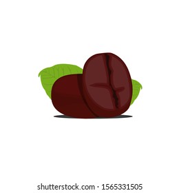 Coffee bean logo illustration vector with leaves on the back