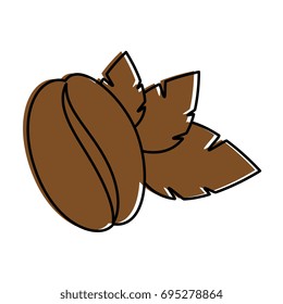 Coffee bean natural