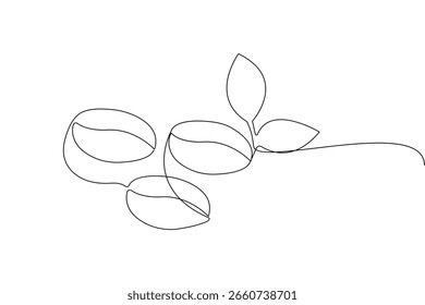 Coffee bean one line art drawing in minimal outline style isolated vector modern illustration