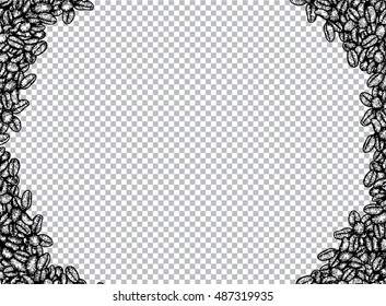 Coffee bean pattern by hand drawing.Coffee bean background vector