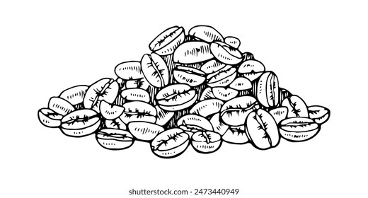 Coffee Bean pile Vector hand drawn illustration. Cafe grain sketch drawing. Vintage black line art on isolated white background. Clipart for graphic design. Seed in retro style for food packaging