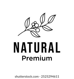 coffee bean with plant branch hipster minimal logo vector with leaf simple 