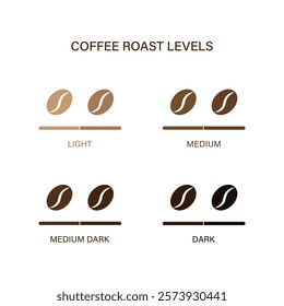 Coffee bean roast levels light medium dark flat vector