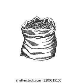 Coffee bean sack, illustration in engraving style. Vintage hand drawing in vector.