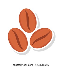 coffee bean seed  
