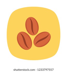 coffee  bean   seed  