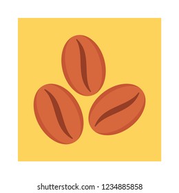 coffee  bean   seed  