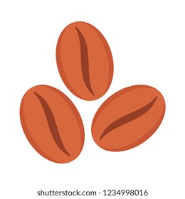 coffee  bean   seed  