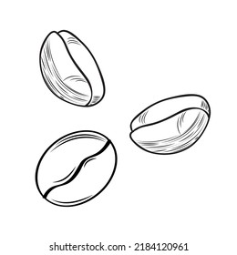 Coffee bean set. Isolated coffee bean on white background. Sketch vector drawing