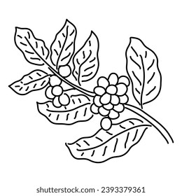 Coffee Bean Simple Line Art 