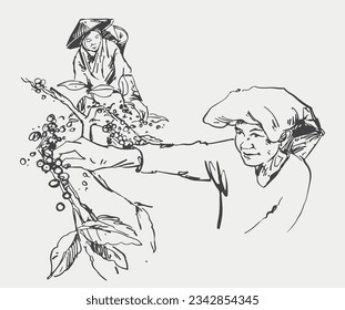 coffee bean of sketch ink drawing for poster, art print, packaging, sticker, label, banner. vintage coffee of ink drawing farmer coffee picker. coffee landscape farming mountain