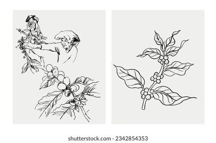 coffee bean of sketch ink drawing for poster, art print, packaging, sticker, label, banner. vintage coffee of ink drawing farmer coffee picker. coffee landscape farming mountain