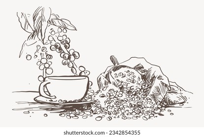 coffee bean of sketch ink drawing for poster, art print, packaging, sticker, label, banner. vintage coffee of ink drawing farmer coffee picker. coffee landscape farming mountain