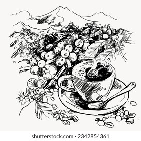 coffee bean of sketch ink drawing for poster, art print, packaging, sticker, label, banner. vintage coffee of ink drawing farmer coffee picker. coffee landscape farming mountain