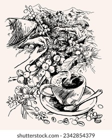 coffee bean of sketch ink drawing for poster, art print, packaging, sticker, label, banner. vintage coffee of ink drawing farmer coffee picker. coffee landscape farming mountain