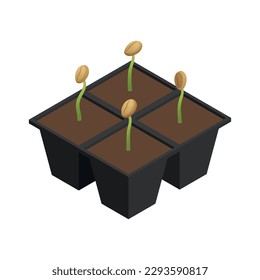 Coffee bean sprouts isometric icon 3d vector illustration