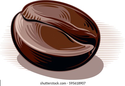 coffee bean, toasted on a white background.