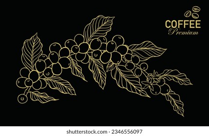 coffee bean and tree of black drawing ink sketch for packaging, label, poster, banner, brochure, flayer, promotion, t-shirt, advertising, background, interior, mural, cover, menu, art print.