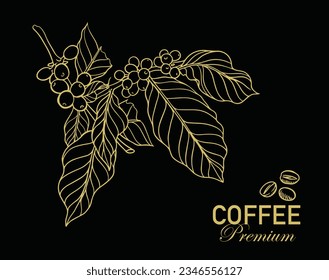 coffee bean and tree of black drawing ink sketch for packaging, label, poster, banner, brochure, flayer, promotion, t-shirt, advertising, background, interior, mural, cover, menu, art print.