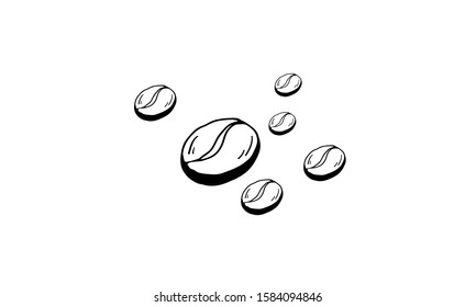 coffee bean, Vector drawing of coffee beans