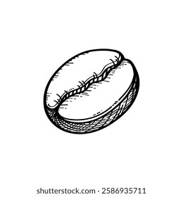 Coffee Bean vector Illustration, Espresso bean Coffee Vector image, Cafe Bean Coffee Vector Image.
